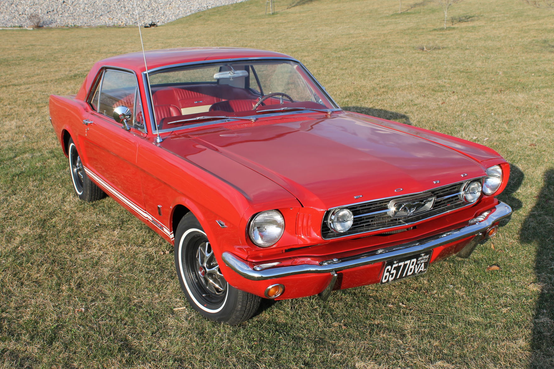 1966 GT Mustang